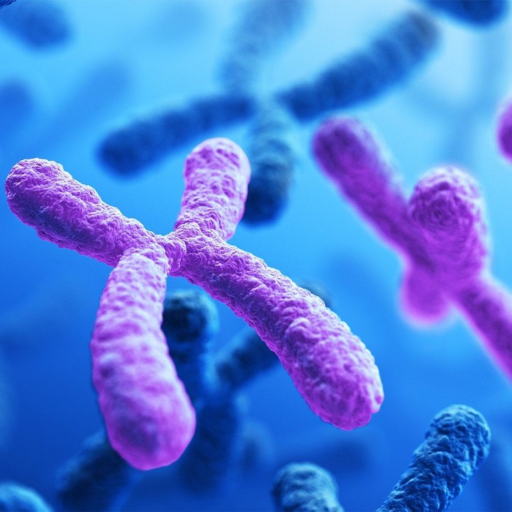 Grafische Darstellung von pinkfarbenen X-Chromosomen vor blauem Hintergrund